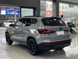 JETTA VS5 High-Light Joy edition 3